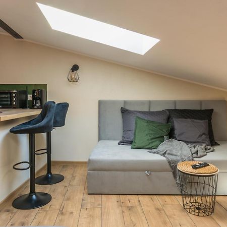 Apartamenty Fabrykanta Ksiezy Mlyn وودج المظهر الخارجي الصورة